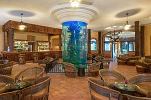 Acuario Bar  - Iberostar Selection Paraiso Lindo - 5 Star All-Inclusive Resort, Riviera Maya, Mexico 